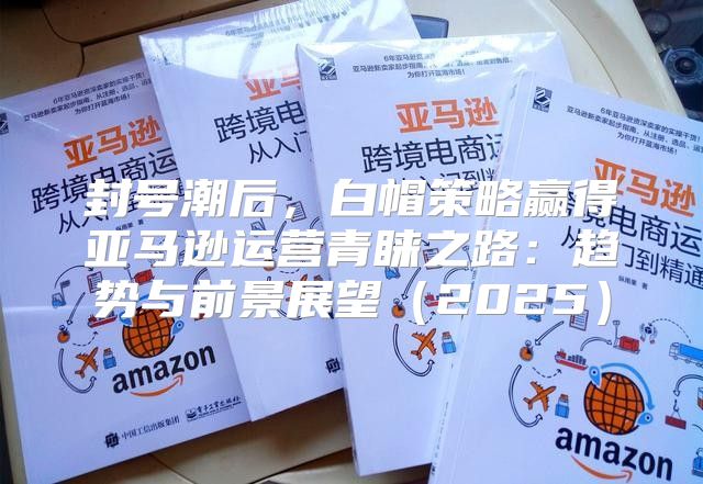 封号潮后，白帽策略赢得亚马逊运营青睐之路：趋势与前景展望2025