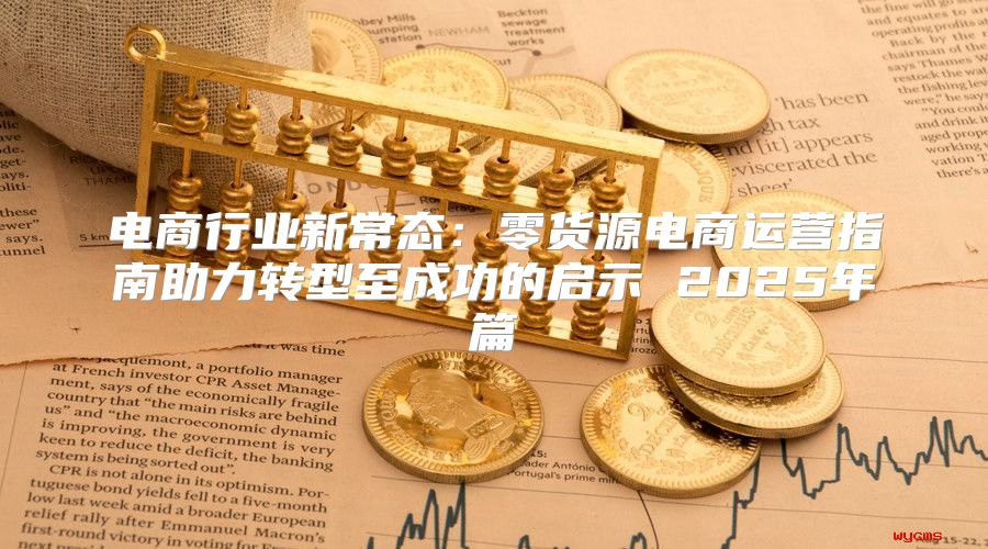 电商行业新常态：零货源电商运营指南助力转型至成功的启示 2025年篇