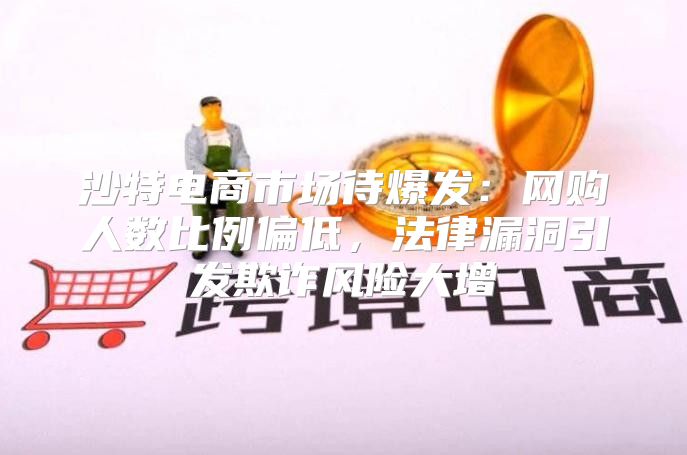 沙特电商市场待爆发：网购人数比例偏低，法律漏洞引发欺诈风险大增