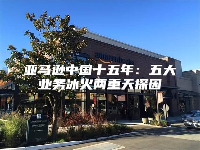 亚马逊中国十五年：五大业务冰火两重天探因