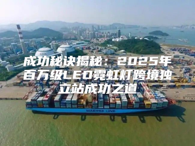 成功秘诀揭秘：2025年百万级LED霓虹灯跨境独立站成功之道