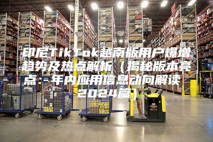 印尼TikTok越南版用户爆增趋势及热点解析揭秘版本亮点：年内应用信息动向解读 2025篇