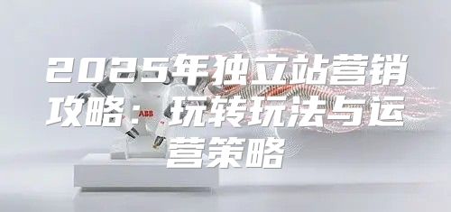 2025年独立站营销攻略：玩转玩法与运营策略