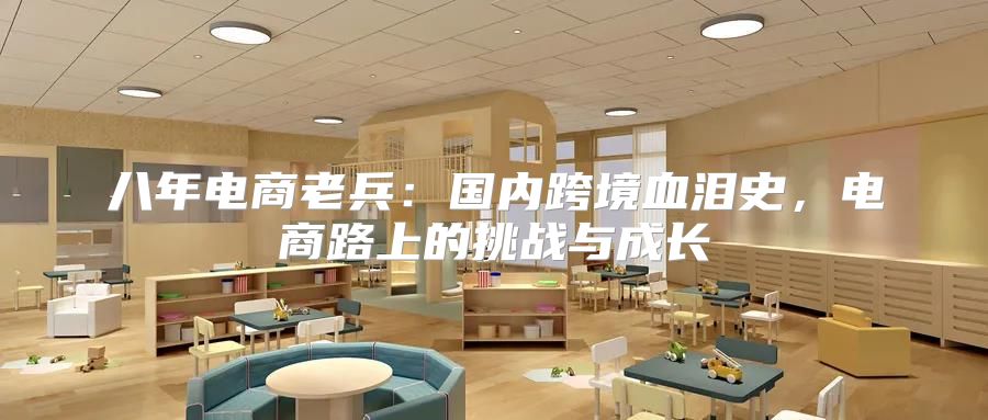 八年电商老兵：国内跨境血泪史，电商路上的挑战与成长