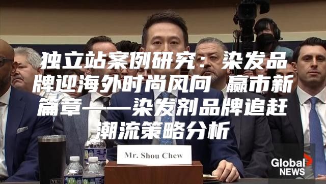 独立站案例研究：染发品牌迎海外时尚风向 赢市新篇章——染发剂品牌追赶潮流策略分析