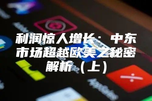 利润惊人增长：中东市场超越欧美之秘密解析上