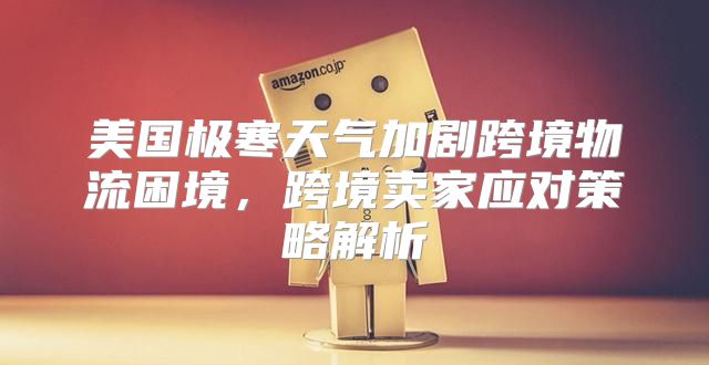 美国极寒天气加剧跨境物流困境，跨境卖家应对策略解析
