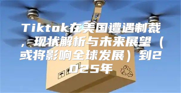 Tiktok在美国遭遇制裁，现状解析与未来展望或将影响全球发展到2025年