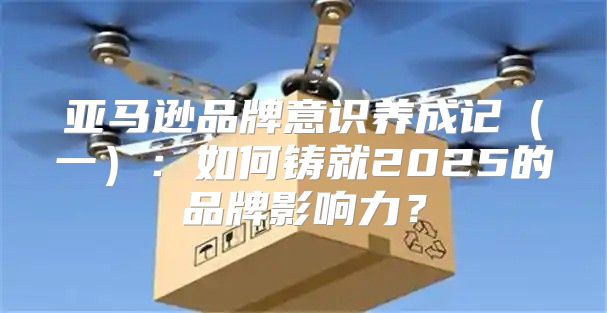 亚马逊品牌意识养成记一：如何铸就2025的品牌影响力？