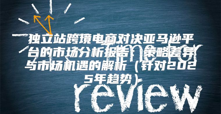 独立站跨境电商对决亚马逊平台的市场分析报告：策略差异与市场机遇的解析针对2025年趋势