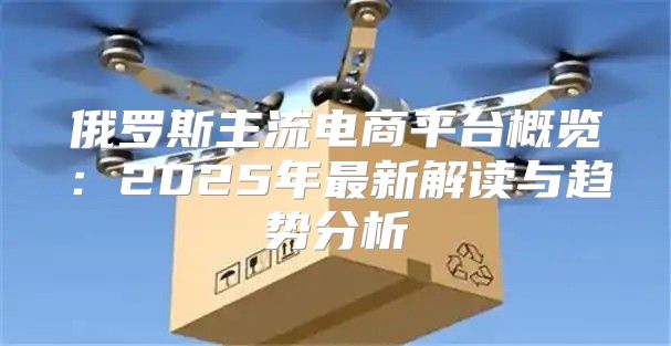 俄罗斯主流电商平台概览：2025年最新解读与趋势分析