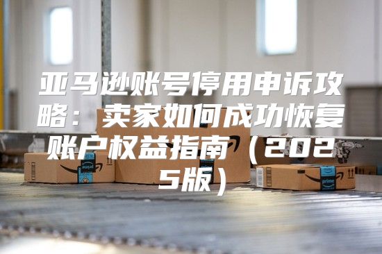 亚马逊账号停用申诉攻略：卖家如何成功恢复账户权益指南2025版
