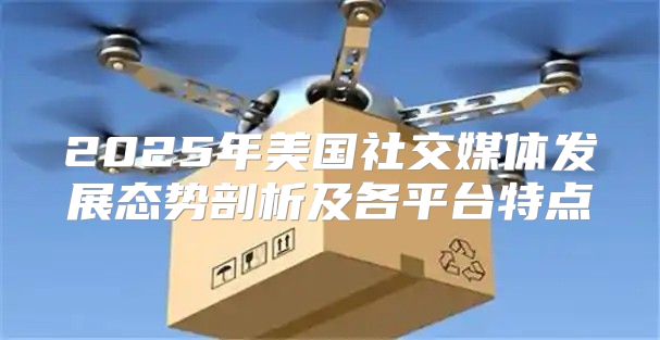 2025年美国社交媒体发展态势剖析及各平台特点