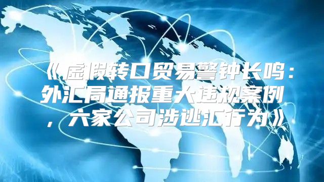 虚假转口贸易警钟长鸣：外汇局通报重大违规案例，六家公司涉逃汇行为