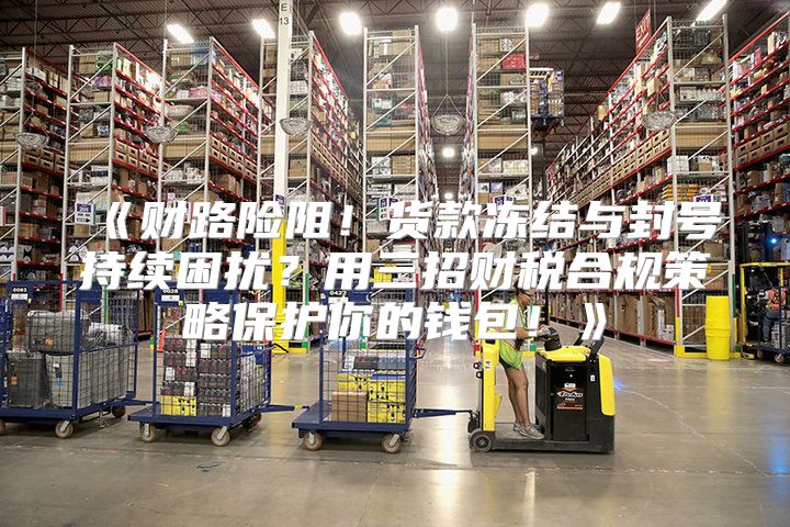 财路险阻！货款冻结与封号持续困扰？用三招财税合规策略保护你的钱包！