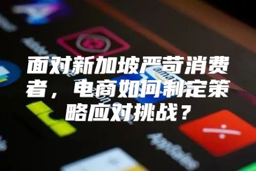 面对新加坡严苛消费者，电商如何制定策略应对挑战？