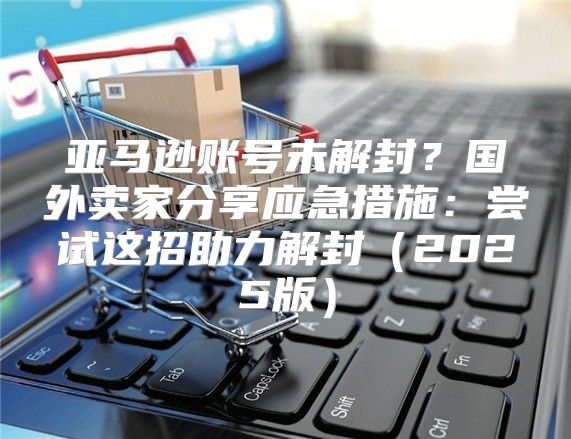 亚马逊账号未解封？国外卖家分享应急措施：尝试这招助力解封2025版
