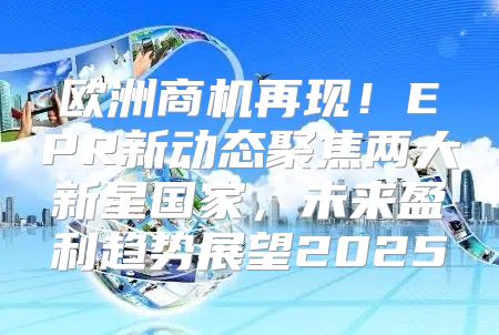 欧洲商机再现！EPR新动态聚焦两大新星国家，未来盈利趋势展望2025
