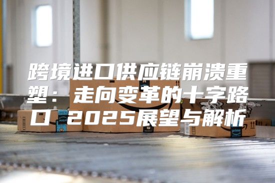 跨境进口供应链崩溃重塑：走向变革的十字路口 2025展望与解析