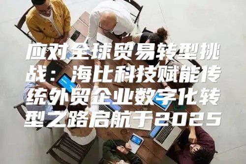 应对全球贸易转型挑战：海比科技赋能传统外贸企业数字化转型之路启航于2025