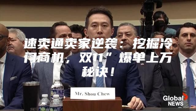速卖通卖家逆袭：挖掘冷门商机，双11”爆单上万秘诀！