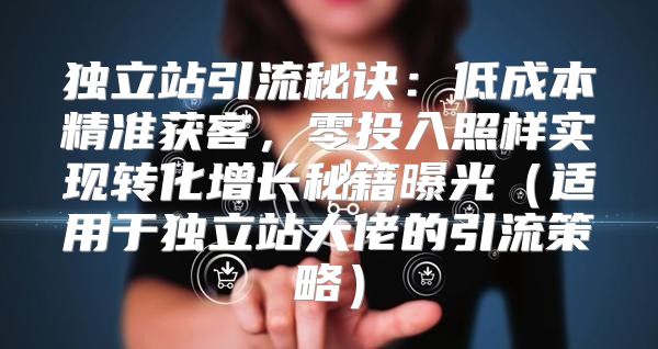 独立站引流秘诀：低成本精准获客，零投入照样实现转化增长秘籍曝光适用于独立站大佬的引流策略