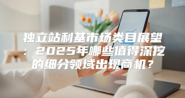 独立站利基市场类目展望：2025年哪些值得深挖的细分领域出现商机？
