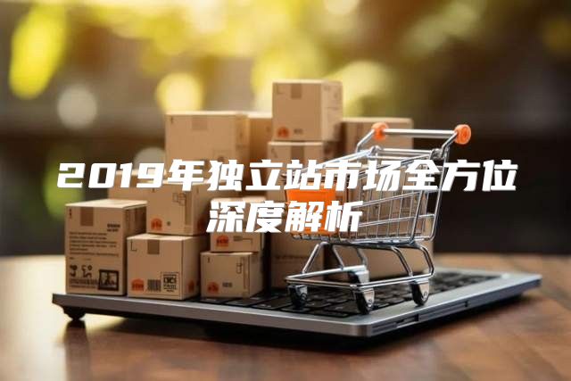2019年独立站市场全方位深度解析