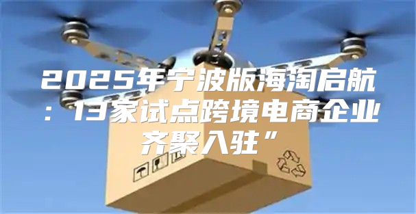 2025年宁波版海淘启航：13家试点跨境电商企业齐聚入驻”