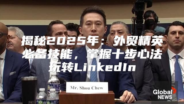揭秘2025年：外贸精英必备技能，掌握十步心法玩转LinkedIn