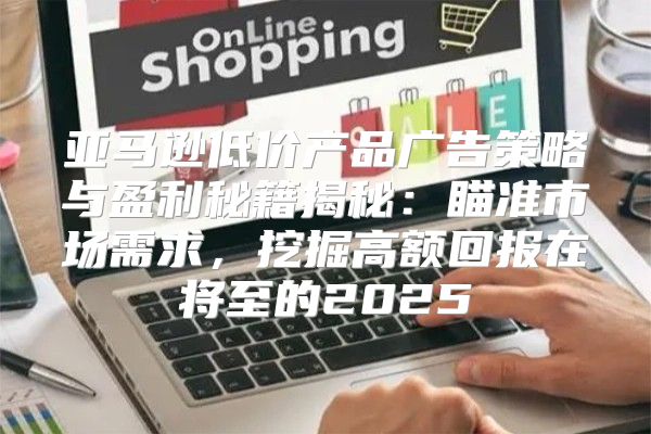 亚马逊低价产品广告策略与盈利秘籍揭秘：瞄准市场需求，挖掘高额回报在将至的2025