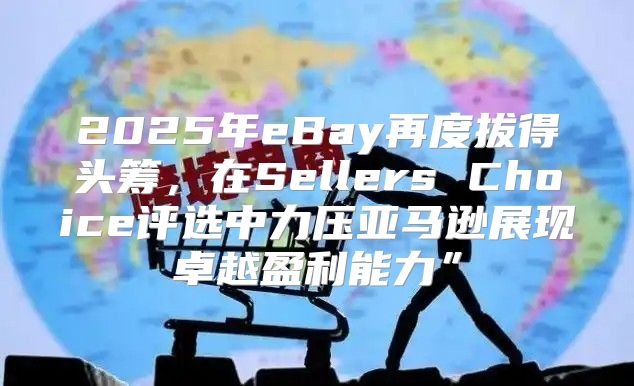 2025年eBay再度拔得头筹，在Sellers Choice评选中力压亚马逊展现卓越盈利能力”