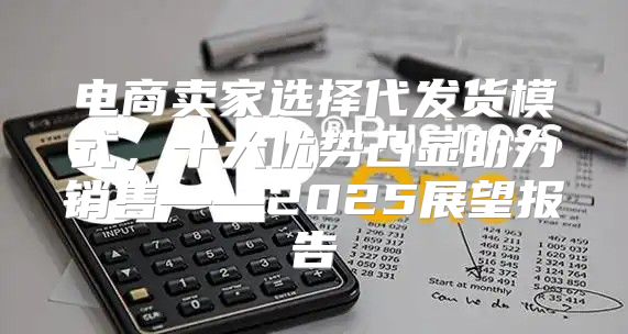 电商卖家选择代发货模式，十大优势凸显助力销售——2025展望报告