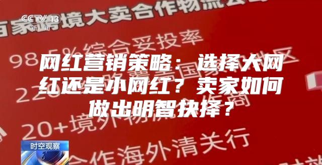 网红营销策略：选择大网红还是小网红？卖家如何做出明智抉择？