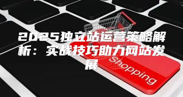 2025独立站运营策略解析：实战技巧助力网站发展