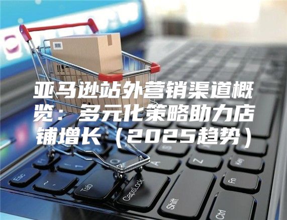 亚马逊站外营销渠道概览：多元化策略助力店铺增长2025趋势