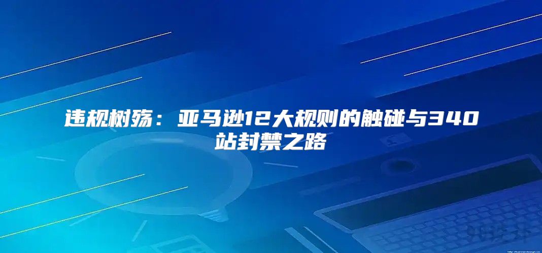 违规树殇：亚马逊12大规则的触碰与340站封禁之路