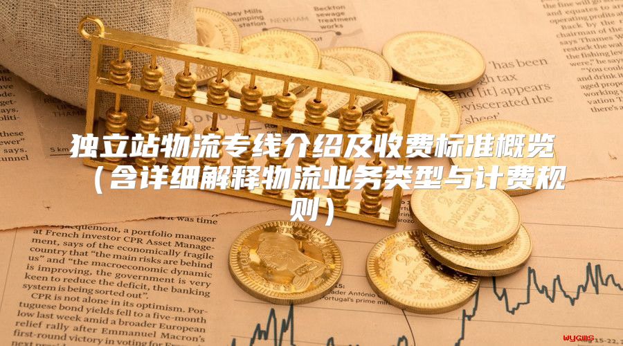 独立站物流专线介绍及收费标准概览含详细解释物流业务类型与计费规则