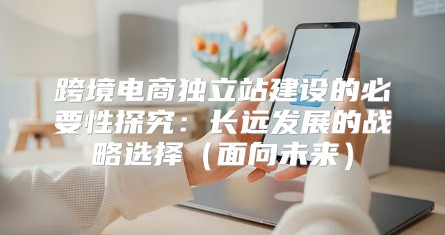 跨境电商独立站建设的必要性探究：长远发展的战略选择面向未来