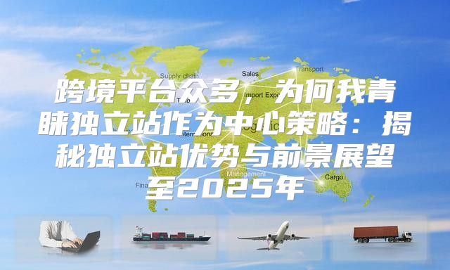 跨境平台众多，为何我青睐独立站作为中心策略：揭秘独立站优势与前景展望至2025年