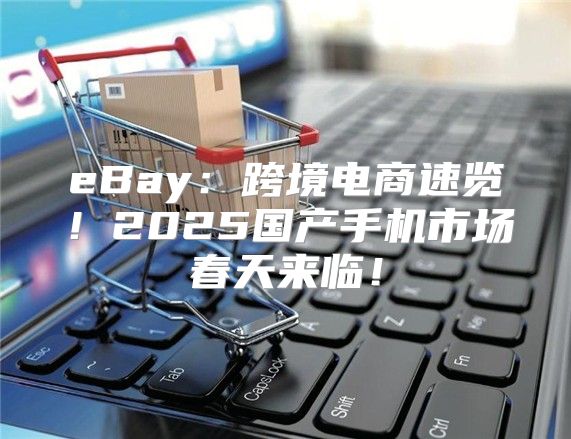 eBay：跨境电商速览！2025国产手机市场春天来临！