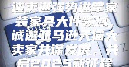 速卖通强势进军家装家具大件领域，诚邀亚马逊天猫大卖家共谋发展，共启2025新征程