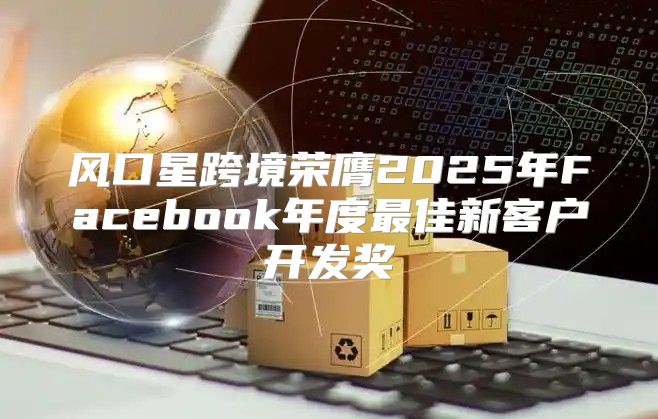 风口星跨境荣膺2025年Facebook年度最佳新客户开发奖
