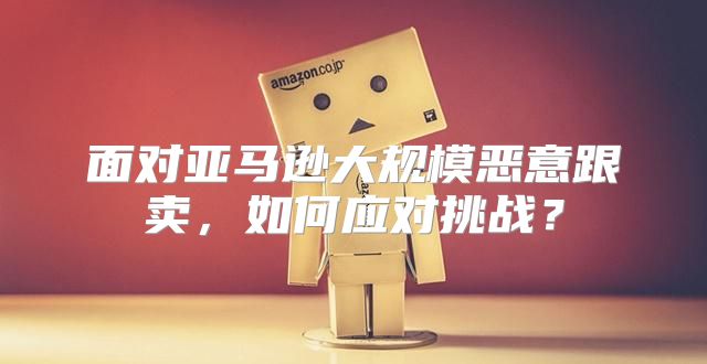 面对亚马逊大规模恶意跟卖，如何应对挑战？