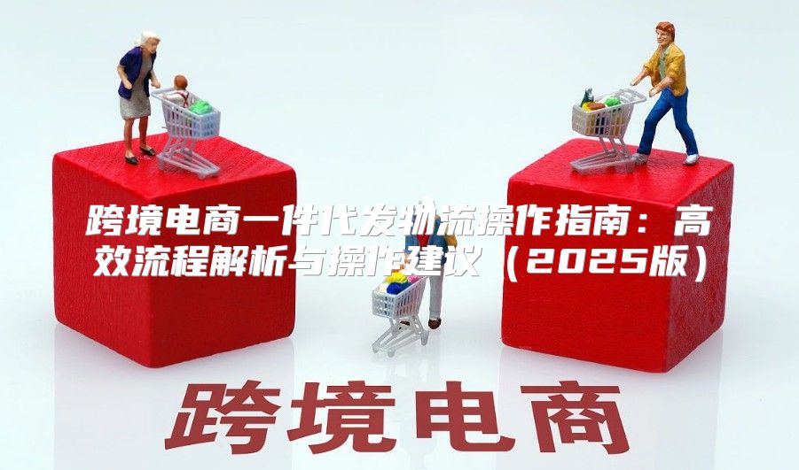 跨境电商一件代发物流操作指南：高效流程解析与操作建议2025版