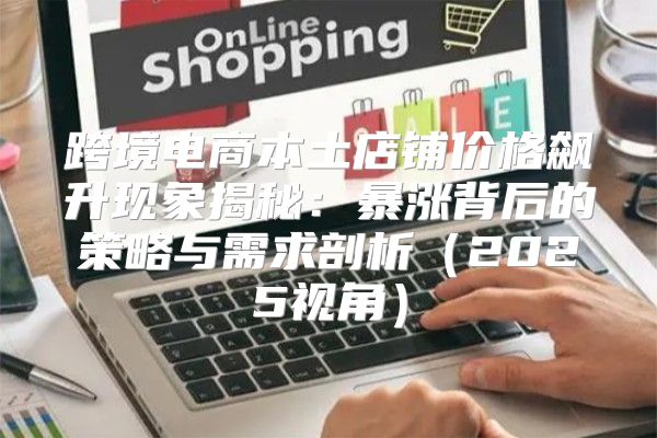 跨境电商本土店铺价格飙升现象揭秘：暴涨背后的策略与需求剖析2025视角