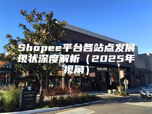 Shopee平台各站点发展现状深度解析2025年视角