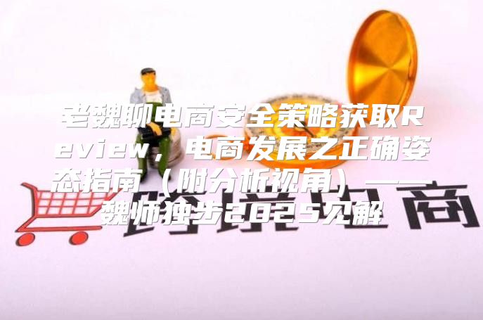 老魏聊电商安全策略获取Review，电商发展之正确姿态指南附分析视角——魏师独步2025见解