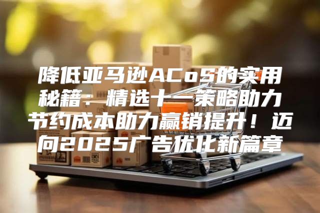 降低亚马逊ACoS的实用秘籍：精选十一策略助力节约成本助力赢销提升！迈向2025广告优化新篇章