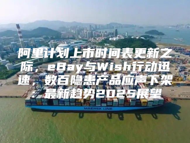 阿里计划上市时间表更新之际，eBay与Wish行动迅速，数百隐患产品应声下架：最新趋势2025展望